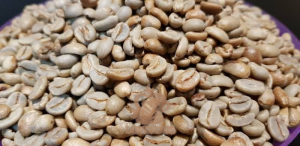 Gayo Aceh Honey Green Coffee Beans