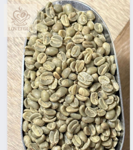 Gayo Aceh Natural Green Coffee Beans