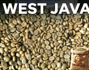 Java Ljen